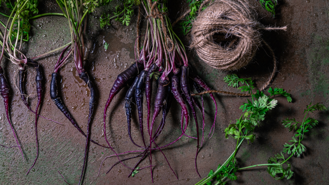alimeco-carota-nera Un’esplosione di viola con l’estratto di carota nera in polvere